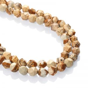 Faceted Picture Jasper Beads