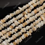 White Shell Chips