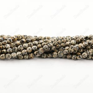 Dalmatian Jasper Coin Beads