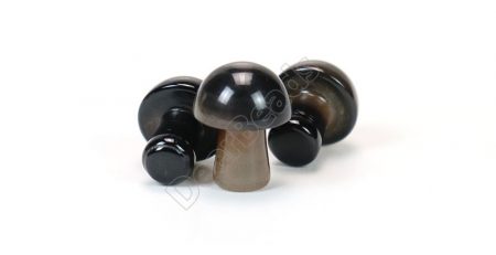 Black Agate Mushroom