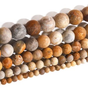 Matte Fossil Coral Beads