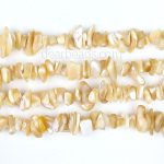 Brown Shell Chips Beads